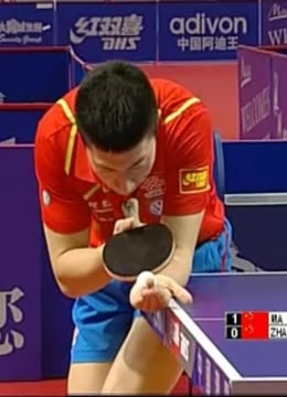 他在社区观 他在社区观